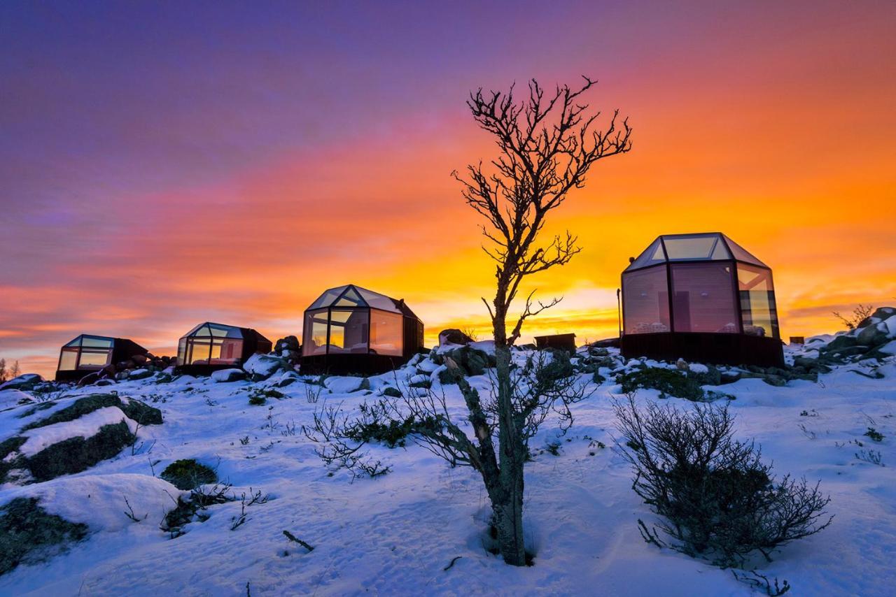 Kalle'S Inn Glass Houses Soderudden Экстерьер фото